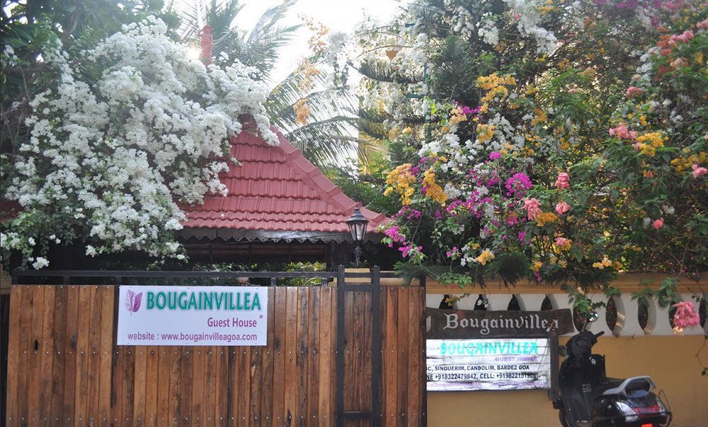 Bougainvillea Guest House Candolim Dış mekan fotoğraf